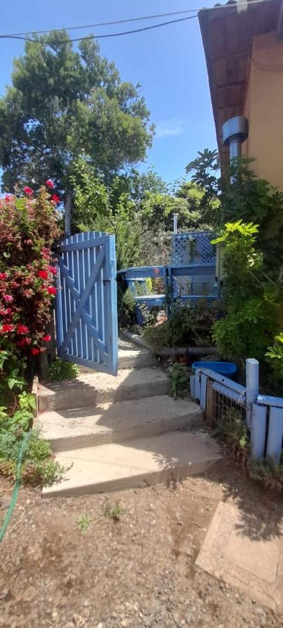 Cabanas Aire Marino Algarrobo Bagian luar foto