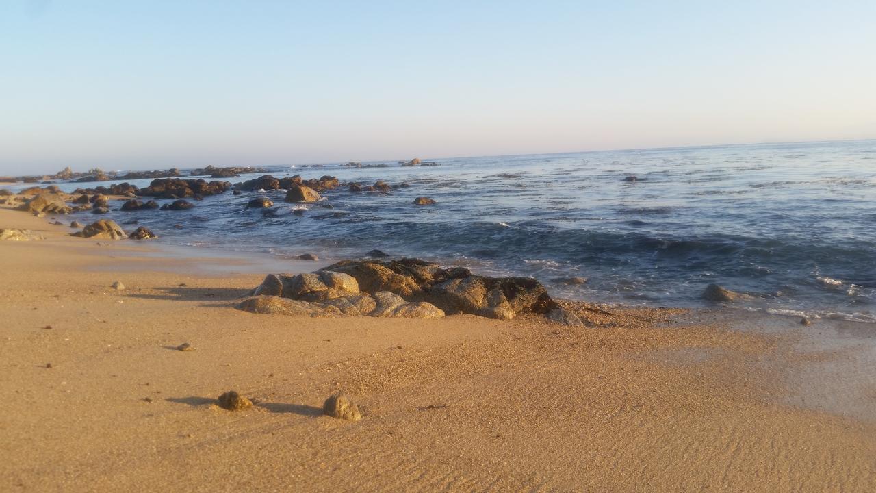 Cabanas Aire Marino Algarrobo Bagian luar foto