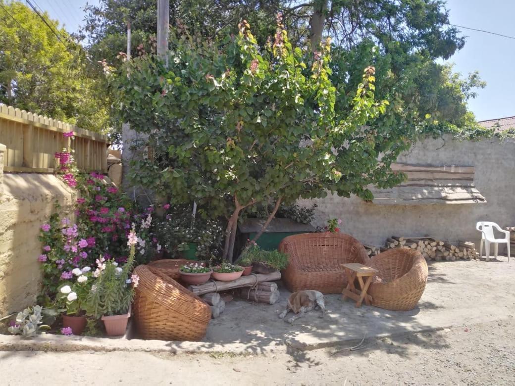 Cabanas Aire Marino Algarrobo Bagian luar foto